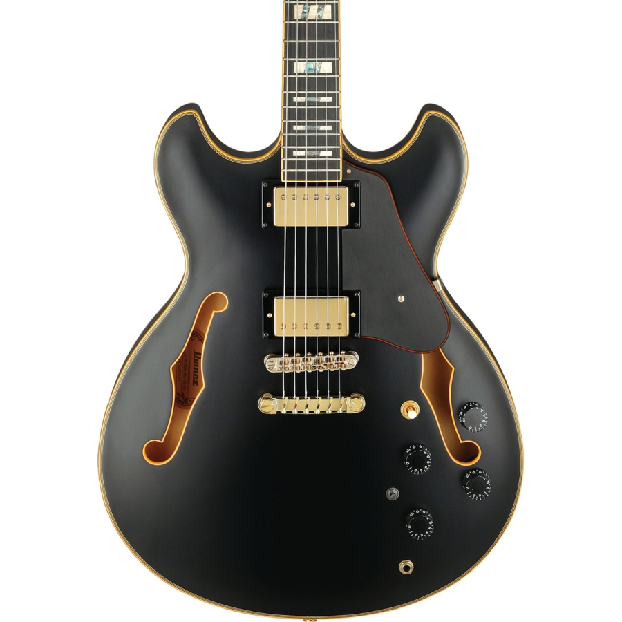 Ibanez John Scofield JSM20 Black Low Gloss