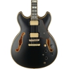 Ibanez John Scofield JSM20 Black Low Gloss