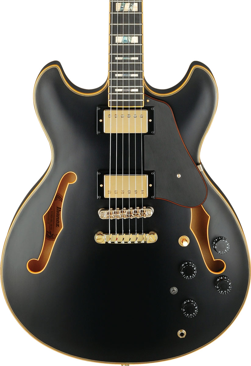 Ibanez John Scofield JSM20 Black Low Gloss