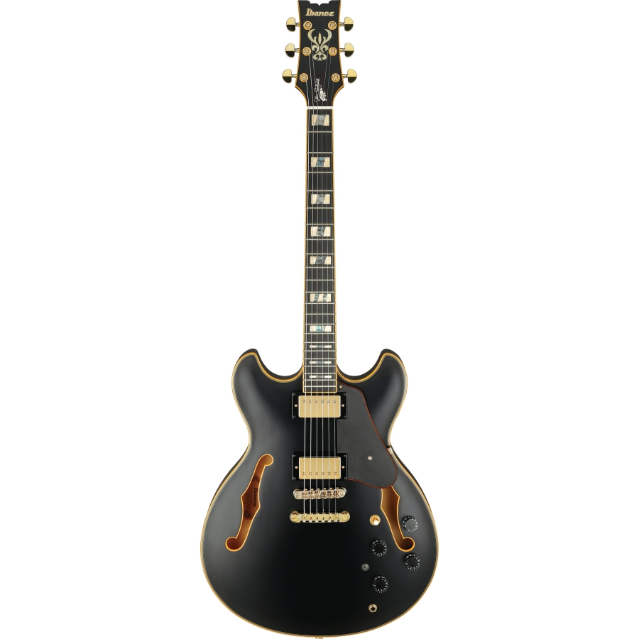 Ibanez John Scofield JSM20 Black Low Gloss