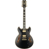 Ibanez John Scofield JSM20 Black Low Gloss