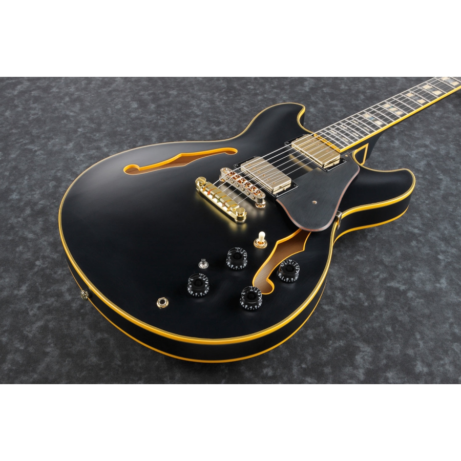 Ibanez John Scofield JSM20 Black Low Gloss