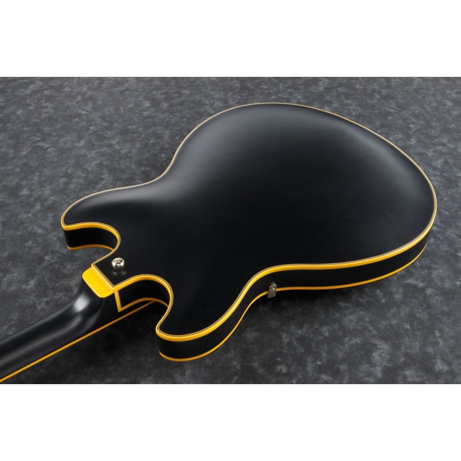 Ibanez John Scofield JSM20 Black Low Gloss
