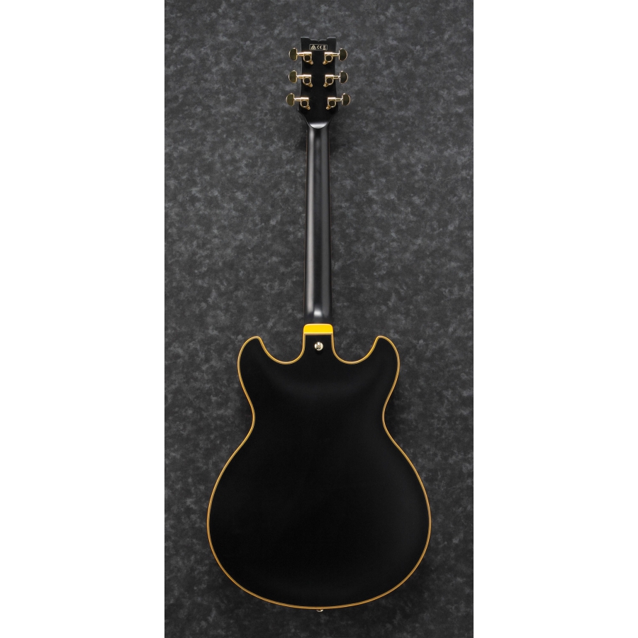 Ibanez John Scofield JSM20 Black Low Gloss