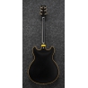 Ibanez John Scofield JSM20 Black Low Gloss