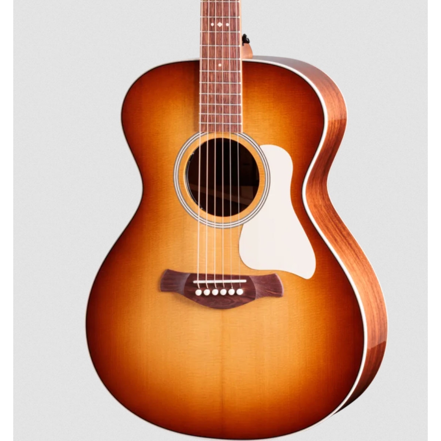 Taylor Ben Harper Gold Label 512e