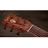 Taylor Ben Harper Gold Label 512e