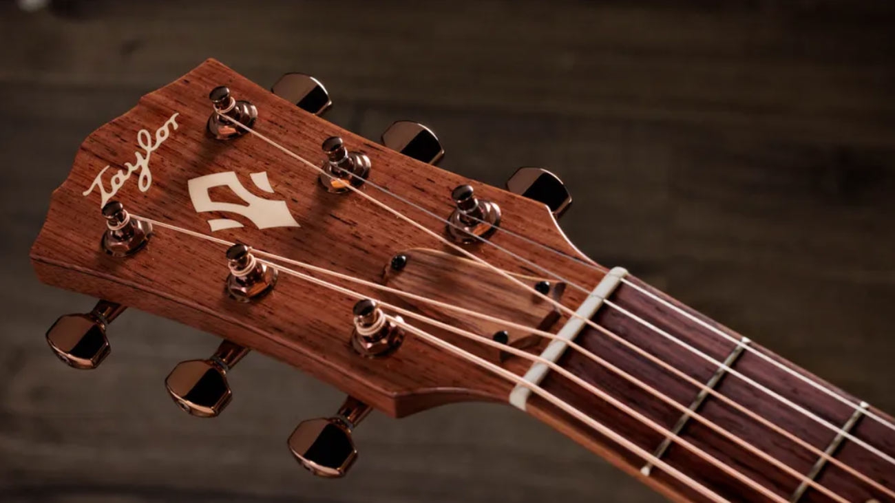 Taylor Ben Harper Gold Label 512e