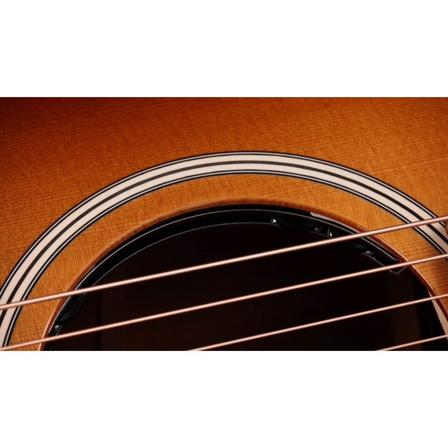 Taylor Ben Harper Gold Label 512e