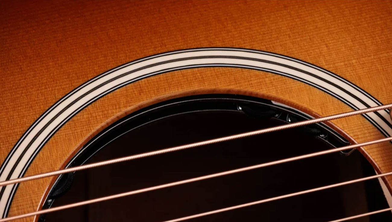 Taylor Ben Harper Gold Label 512e