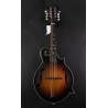 Eastman MD315E-SB