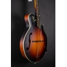 Eastman MD315E-SB