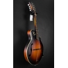 Eastman MD315E-SB