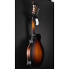 Eastman MD315E-SB