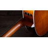 Taylor 217e Plus Special Edition Honeyburst
