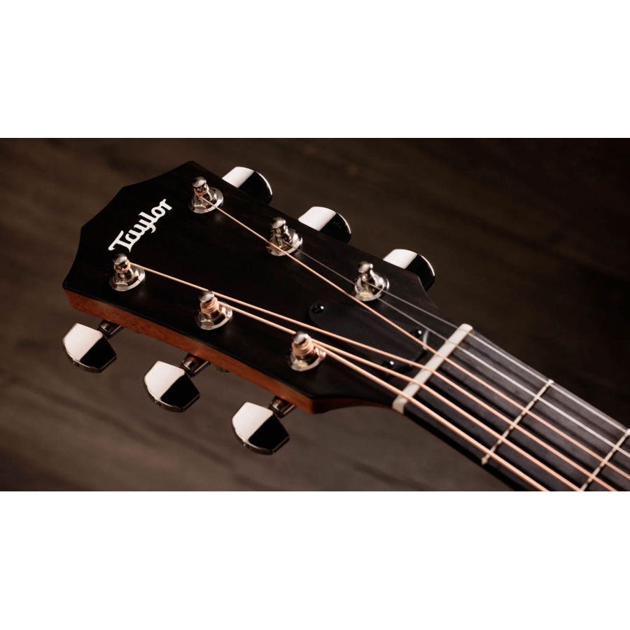 Taylor 414ce Studio Special Edition Honeyburst