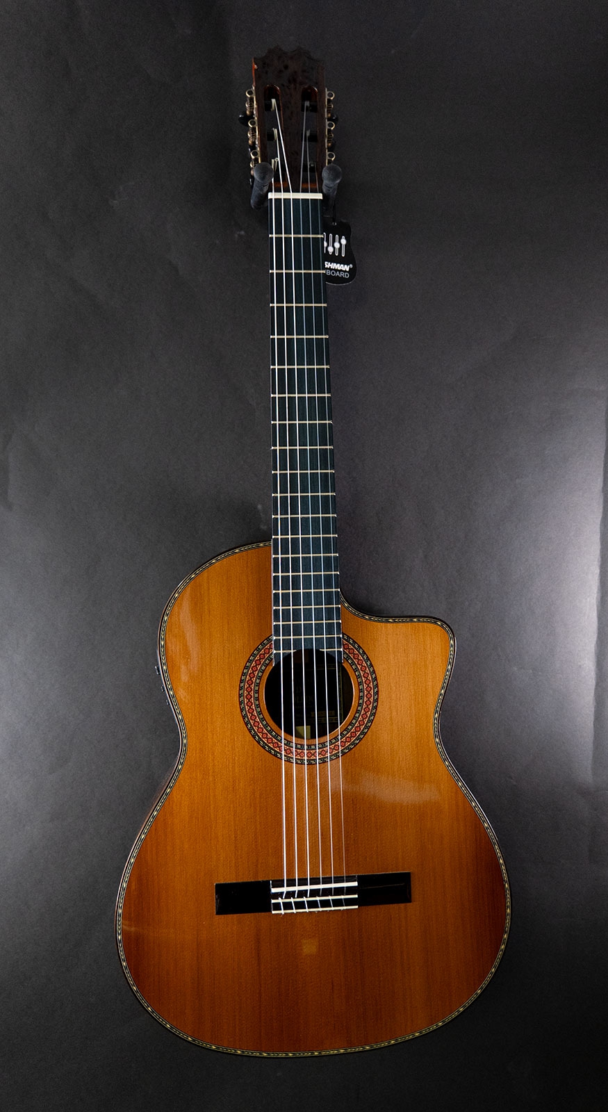 Antonio de Toledo AT15CE ceder cutaway