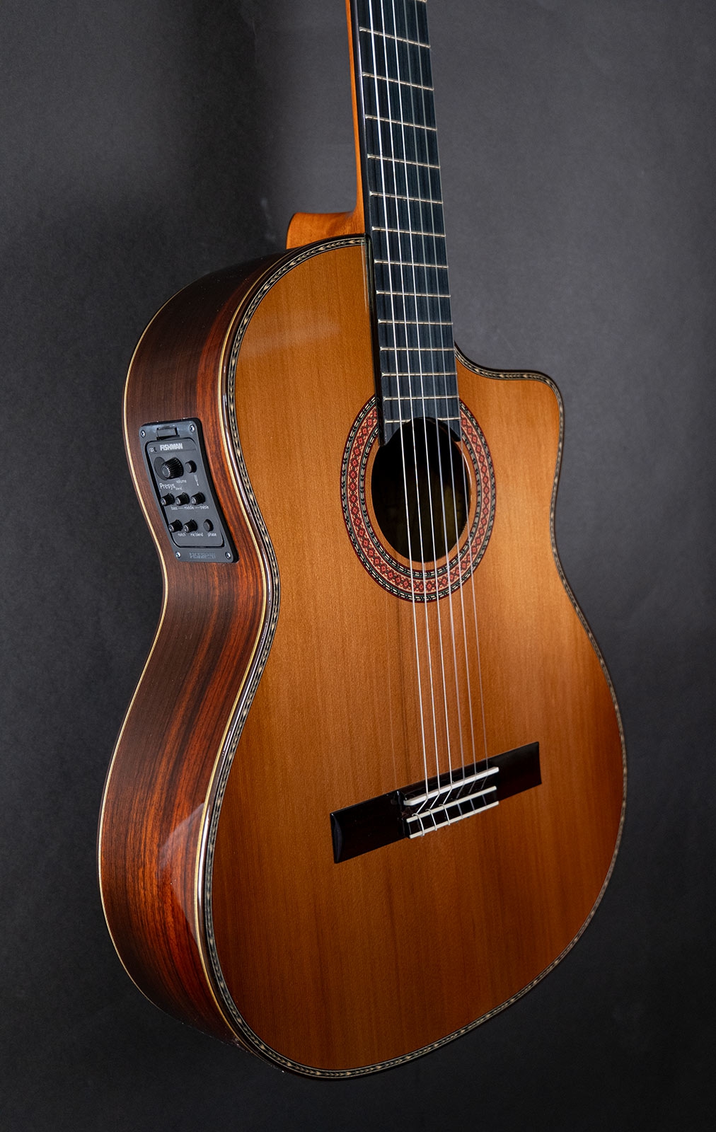Antonio de Toledo AT15CE ceder cutaway