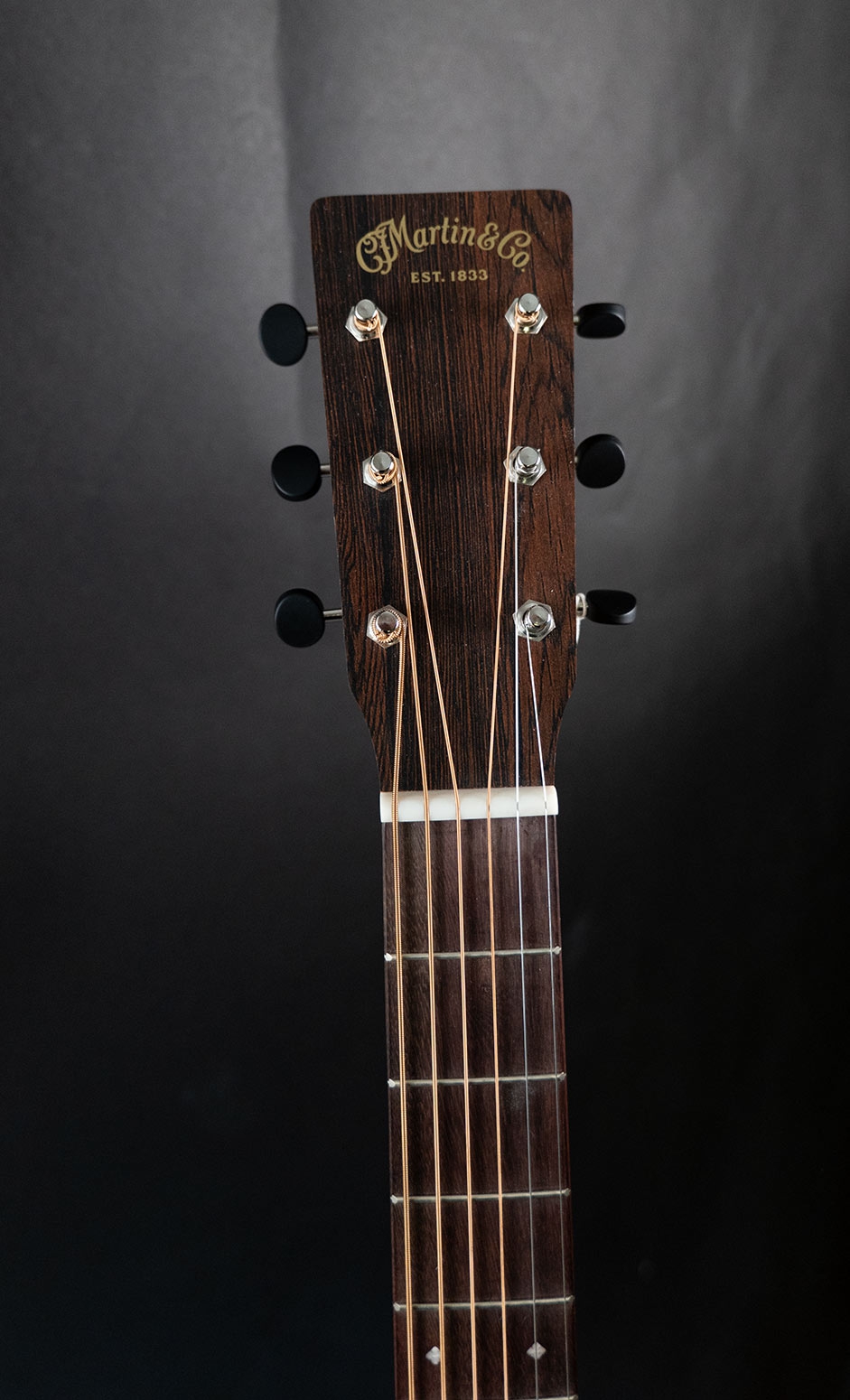 Martin D-10E Retro Sapele