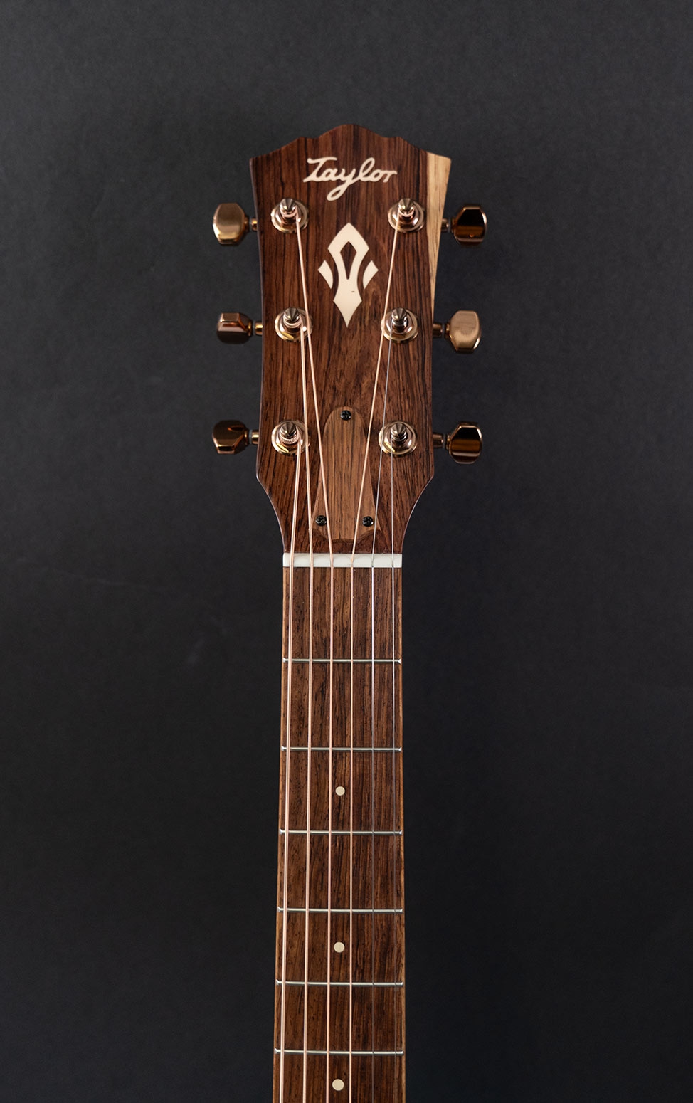 Taylor Ben Harper Gold Label 512e