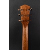 Taylor Ben Harper Gold Label 512e