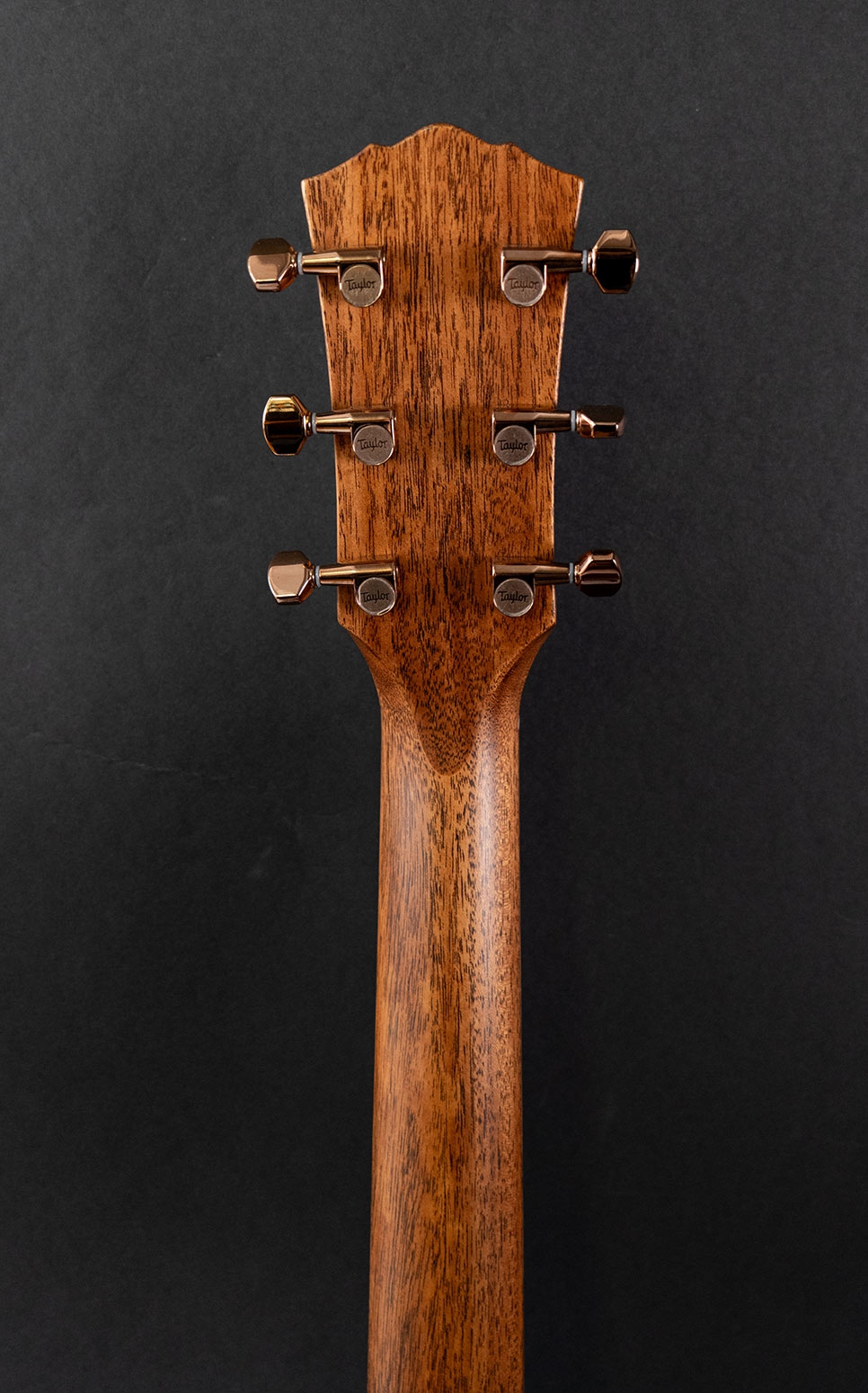 Taylor Ben Harper Gold Label 512e