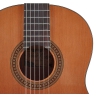 Salvador Cortez CC-10 junior
