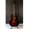 Taylor 324ce Baritone-6 LTD