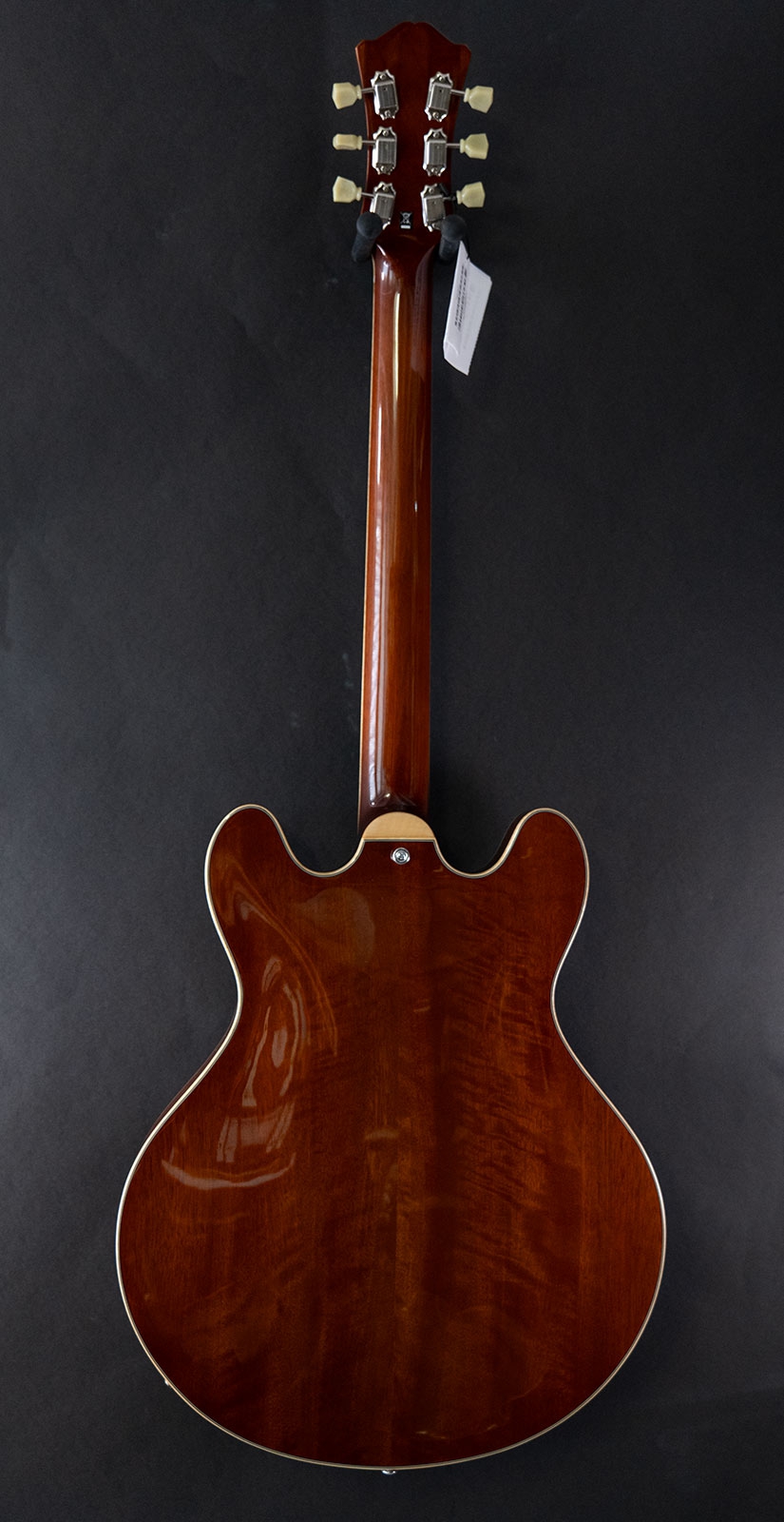 Eastman T186MX GB Goldburst