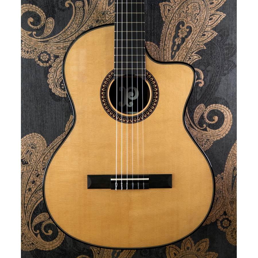 Pleyel P800CE Expression