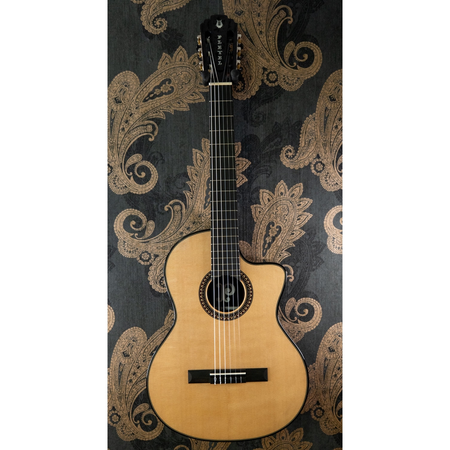 Pleyel P800CE Expression