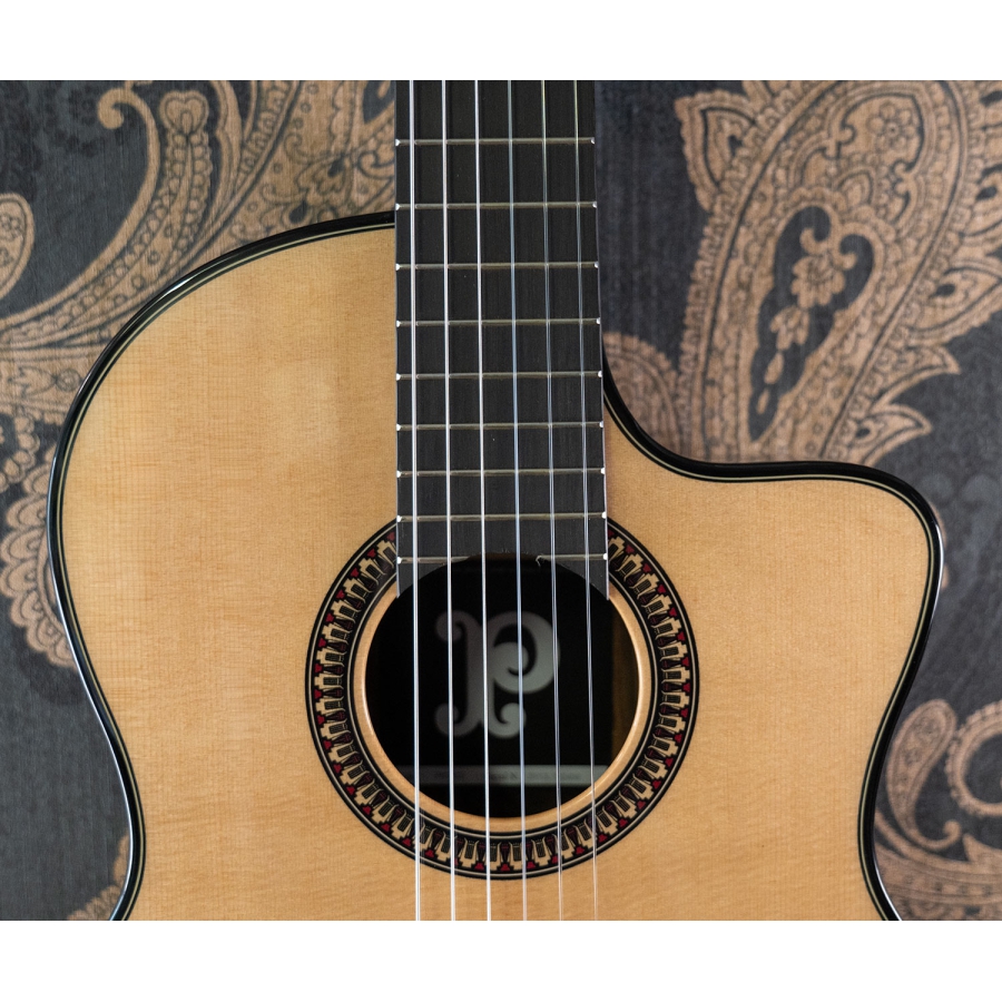 Pleyel P800CE Expression