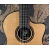 Pleyel P800CE Expression