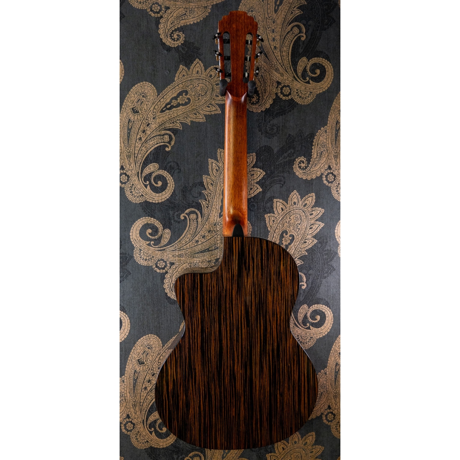Pleyel P800CE Expression