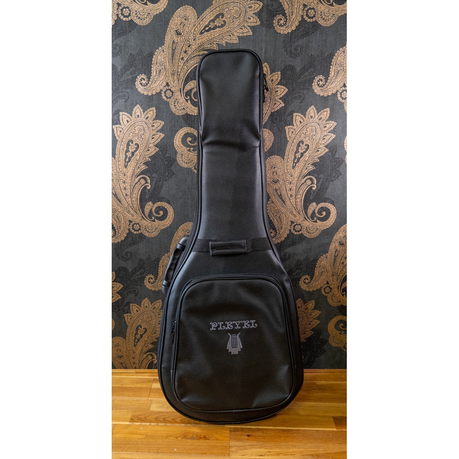 Pleyel P800CE Expression