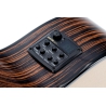 Pleyel P800CE Expression
