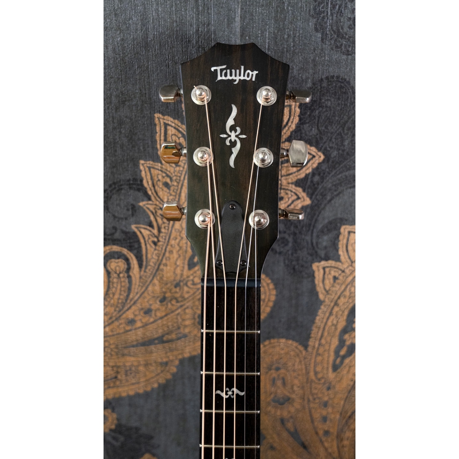 Taylor 424CE Walnut SEB Special Edition