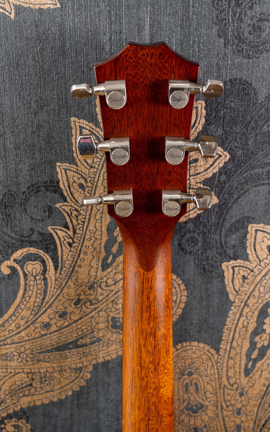 Taylor 424CE Walnut SEB Special Edition