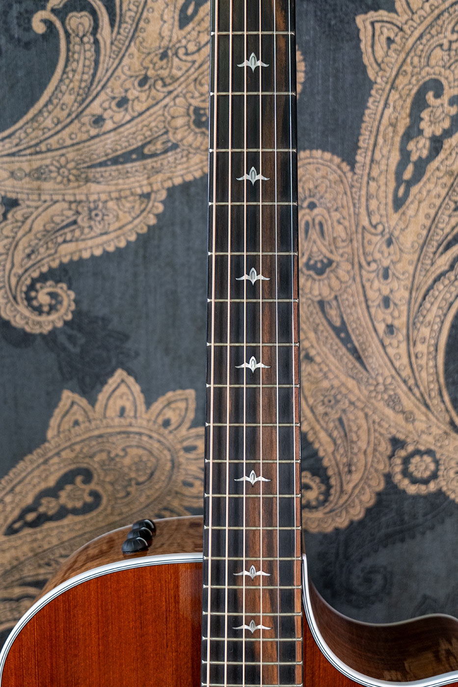 Taylor 414ce LTD Rosewood Redwood