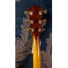 Taylor 217e Plus Special Edition Honeyburst
