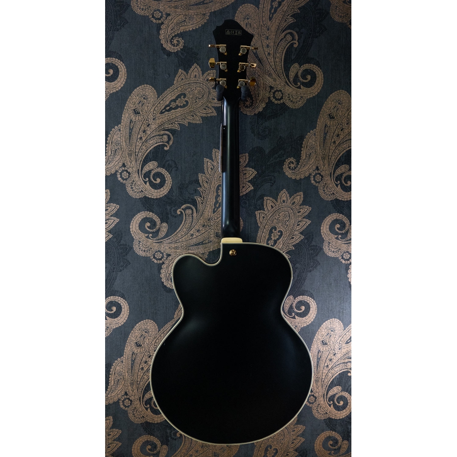 Ibanez PM3C BKL B-Stock