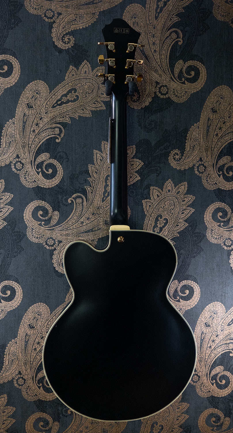 Ibanez PM3C BKL B-Stock