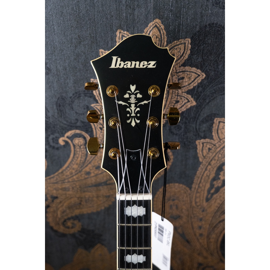 Ibanez PM3C BKL B-Stock