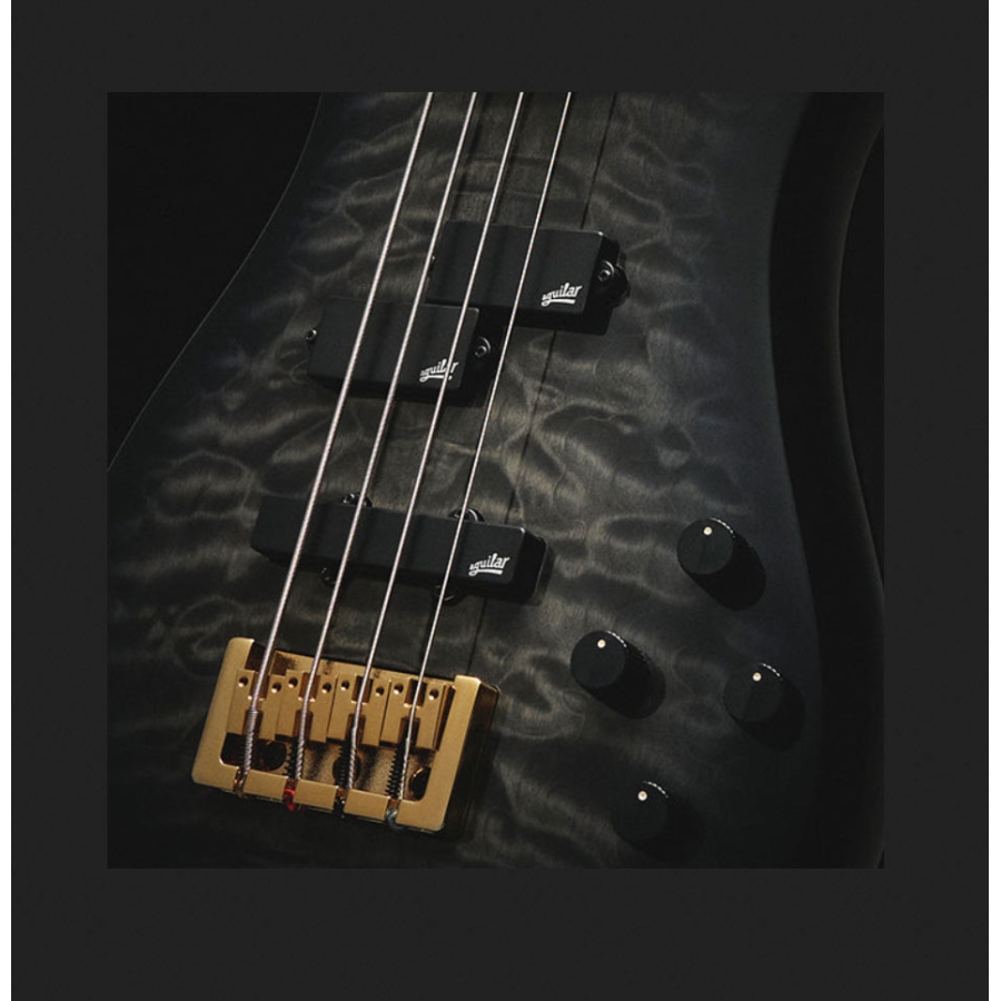 Spector Icon NS-2 Bolt On Black Stain Gloss