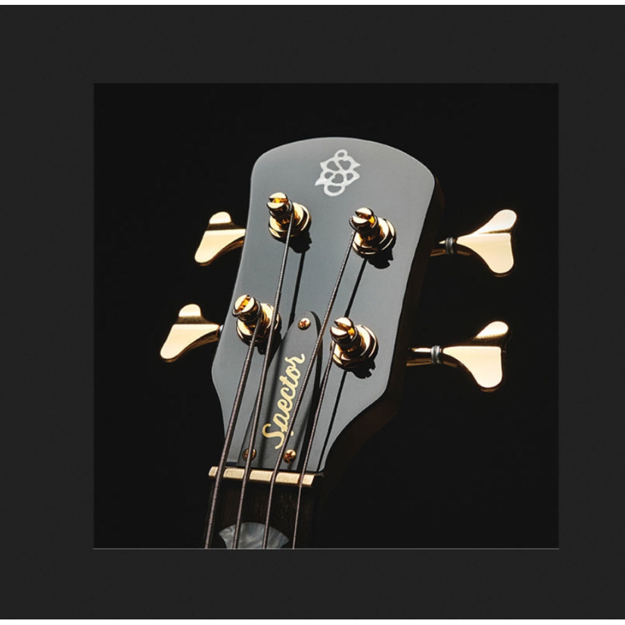 Spector Icon NS-2 Bolt On Black Stain Gloss