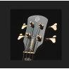 Spector Icon NS-2 Bolt On Black Stain Gloss