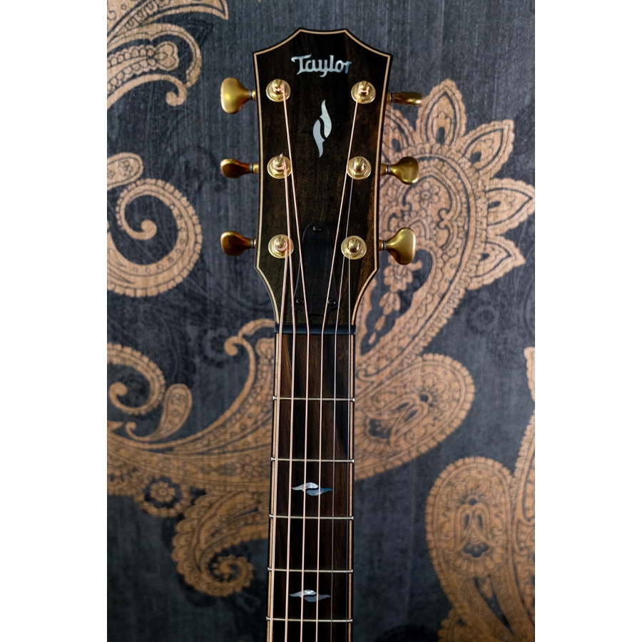 Taylor Builder's Edition 814ce LTD Macassar Adirondack