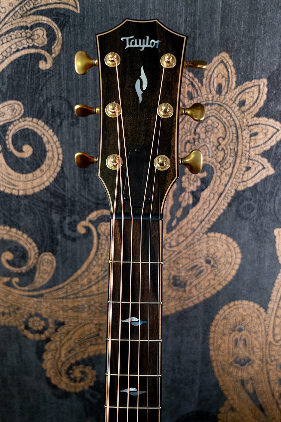 Taylor Builder's Edition 814ce LTD Macassar Adirondack