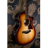 Taylor Builder's Edition 814ce LTD Macassar Adirondack