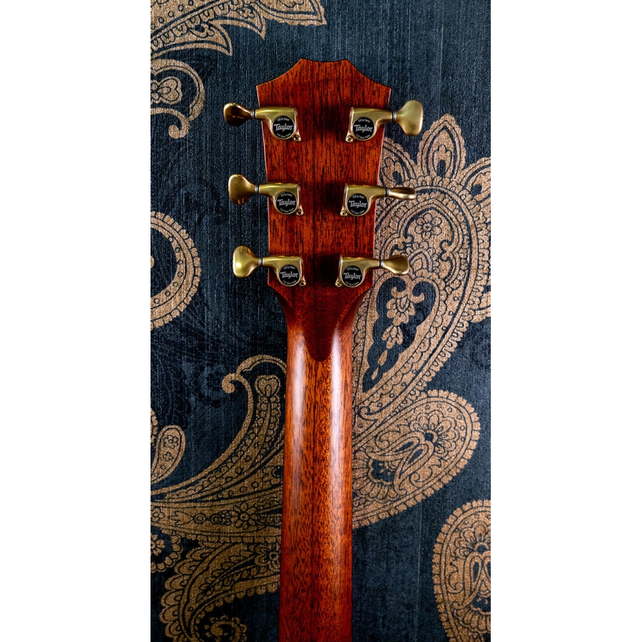 Taylor Builder's Edition 814ce LTD Macassar Adirondack
